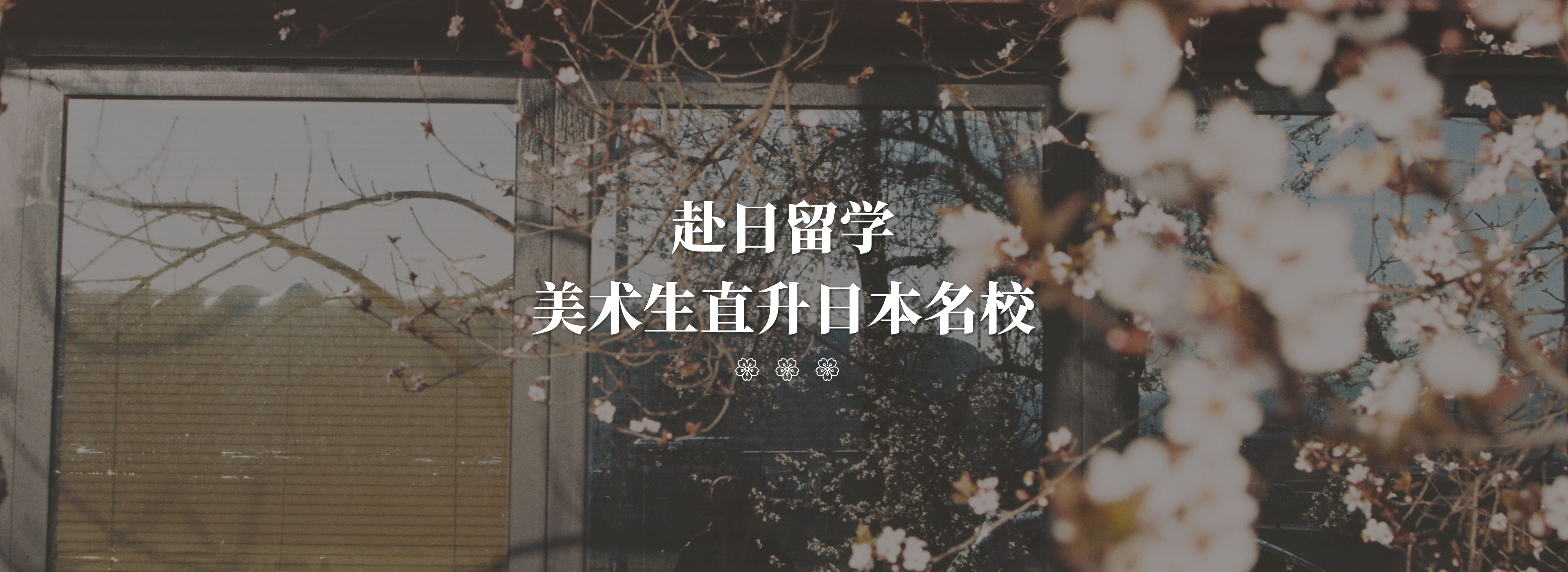 艺术生升学